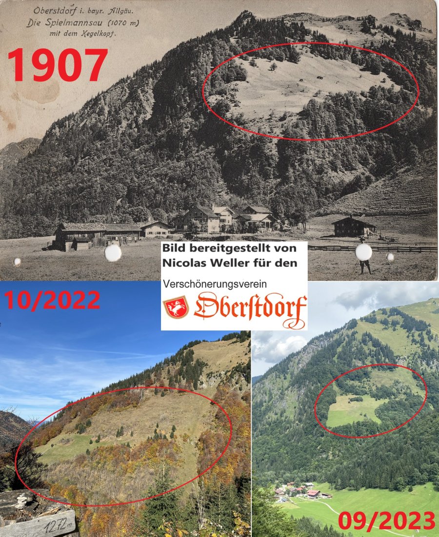 Giebel551nw