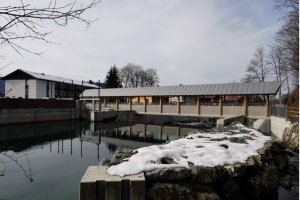 Trettacht2