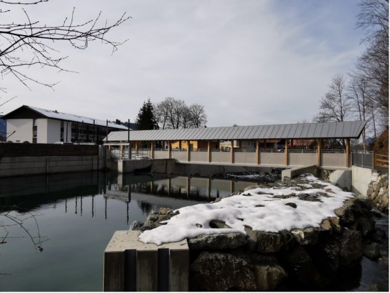 Trettacht2