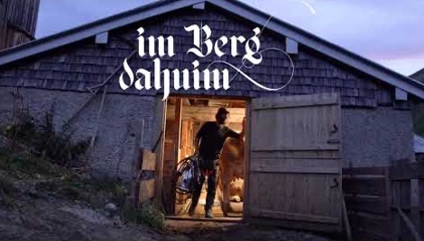 Berg-dahuim