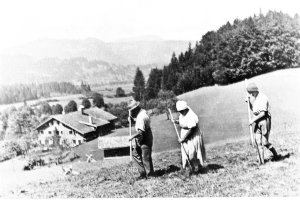 IMG 20200904 0013