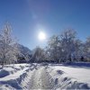 Kurpark