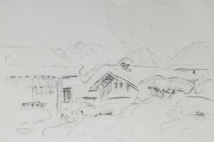 007