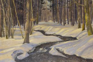 Bachlauf