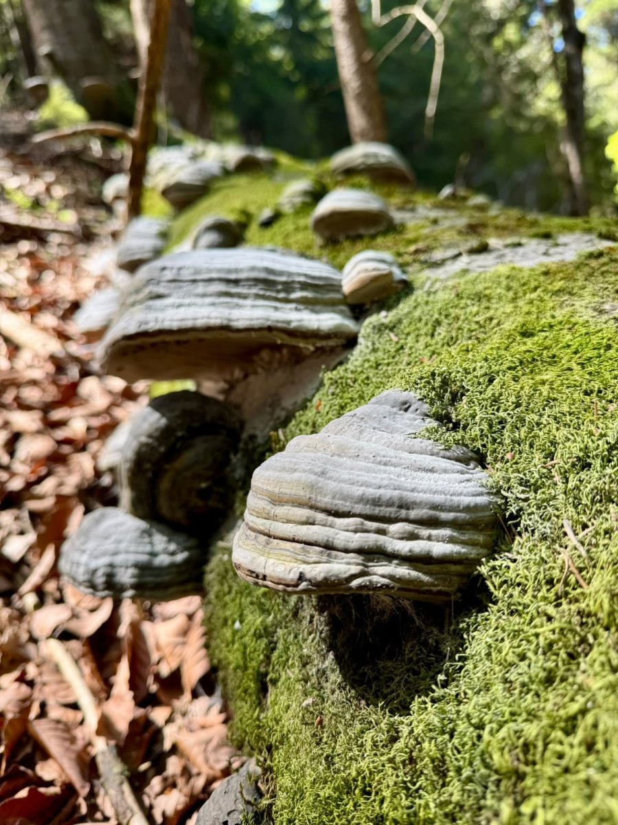 Gundsberg