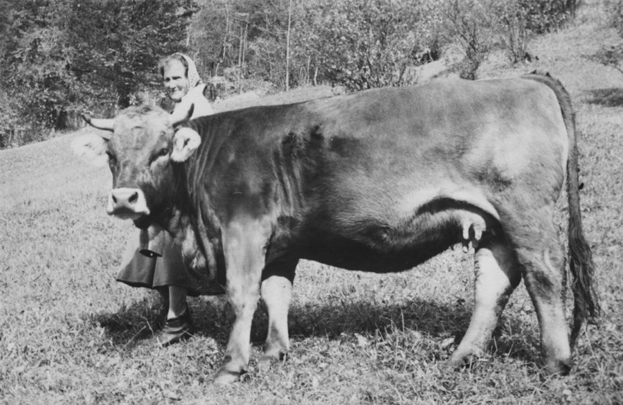 D’Hüeddare vum Dietarsbearg