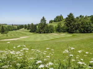 GC-Wiggensbach-2 web