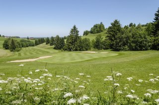 GC-Wiggensbach-2 web