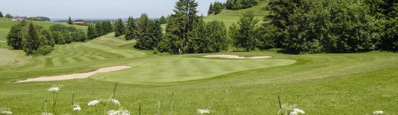 GC-Wiggensbach-2 web