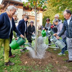 Baumpflanzung Villa Jauss - Foto Simon Wiesinger