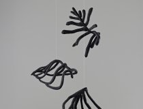 Nina Schmidbauer, fallend