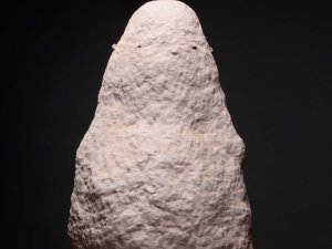 Dorothea Klug, der berg, die hülle, das wesen