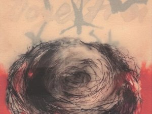 Petra Kollmannsberger, vogelfrei