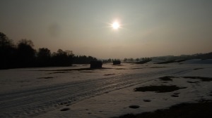 Blick über eine Wiese