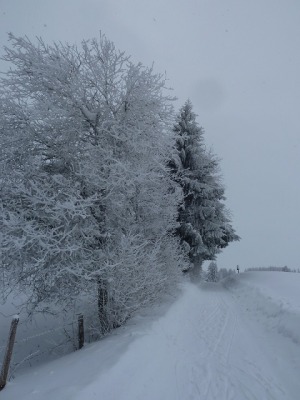 Weg nach Oberelleg