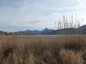 Weißensee