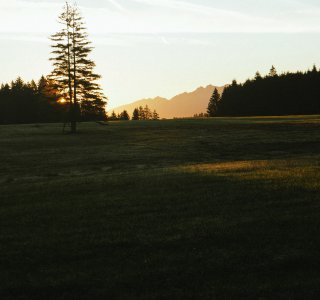Wiese am Kögelweiher bei Sonnenuntergang