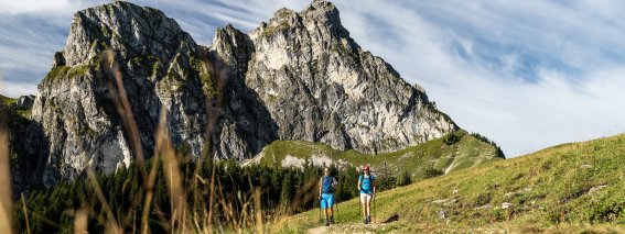 Aggenstein Wandern Pfronten