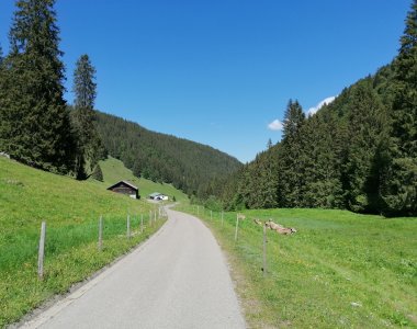 Lochbachtal-Waibel FeWo
