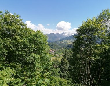 IMG 20200601 155922