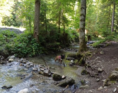 Hinanger Wasserfälle c. Hilger (11)