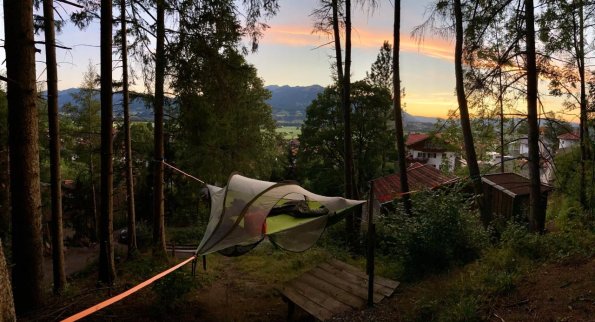 Sonnenuntergang Baumzelt