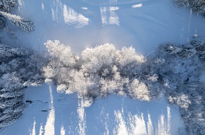 231203 Waldchalets-0029-websize