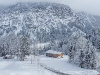 Der Wald ist unser Zuhause