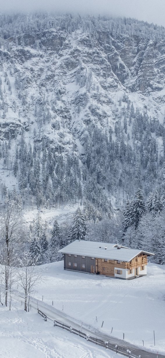 Der Wald ist unser Zuhause