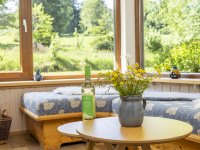 Kaminzimmer mit Blick in Garten