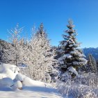 Winterwunderland um die Wannenkopfhütte