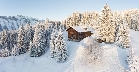 WH Winter PANO0001-4