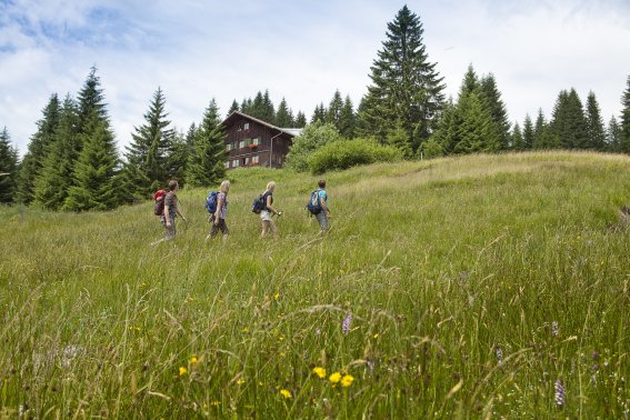 Urlaub auf der Allgäuer Berghütte