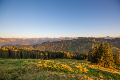 Panoramablick auf die Allgäuer Alpen genießen