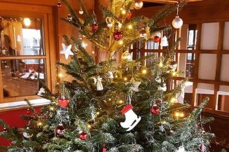 Eine weihnachtliche Atmosphäre in der Wannenkopfhütte Der liebevoll geschmückte Weihnachtsbaum in der Wannenkopfhütte in Oberstdorf im Allgäu strahlt und glänzt jedem Hüttengast entgegen und sorgt so für die ultimative Weihnachtsstimmung.