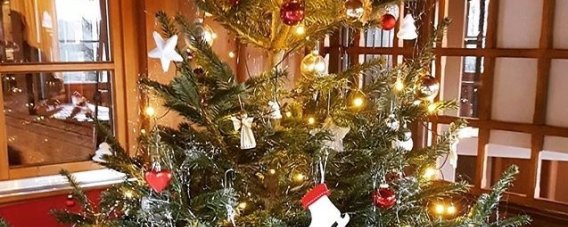 Der liebevoll geschmückte Weihnachtsbaum in der Wannenkopfhütte in Oberstdorf im Allgäu strahlt und glänzt jedem Hüttengast entgegen und sorgt so für die ultimative Weihnachtsstimmung.