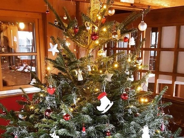 Der liebevoll geschmückte Weihnachtsbaum in der Wannenkopfhütte in Oberstdorf im Allgäu strahlt und glänzt jedem Hüttengast entgegen und sorgt so für die ultimative Weihnachtsstimmung.