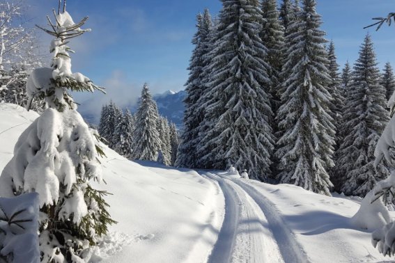 Der Weg ins Winterparadies