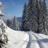 Der Weg ins Winterparadies