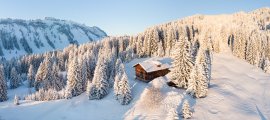 Traumhafte Alleinlage in den verschneiten Alpen