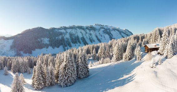 Weit und breit nur die verschneite Natur der Allgäuer Alpen