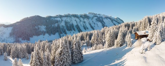 Weit und breit nur die verschneite Natur der Allgäuer Alpen