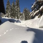 verschneite Hütte