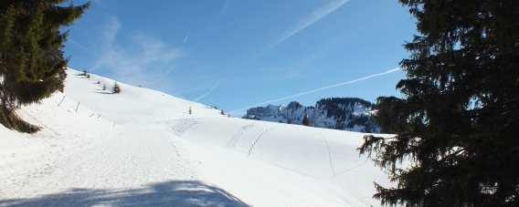 Winterwanderung im Allgäu bei Grasgehren