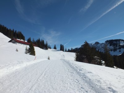 Winterweg zur Mittelalpe