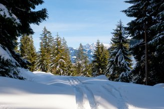 PVM20200130 39254 Event