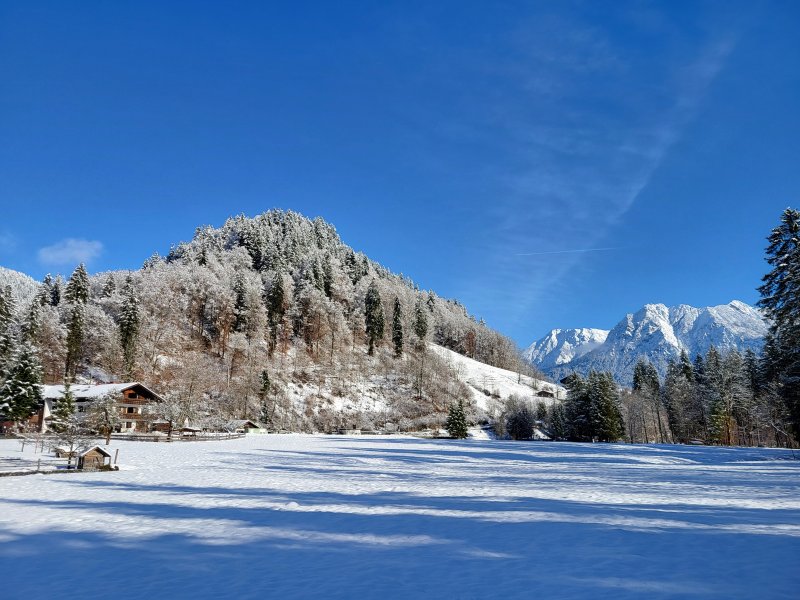 Winter 1