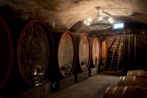Weingut Popp - Keller