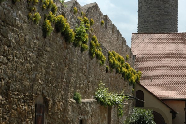 Weingut Ilmbacher Hof