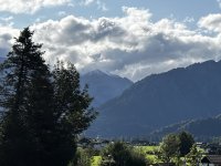 Whg 81 Ausblick